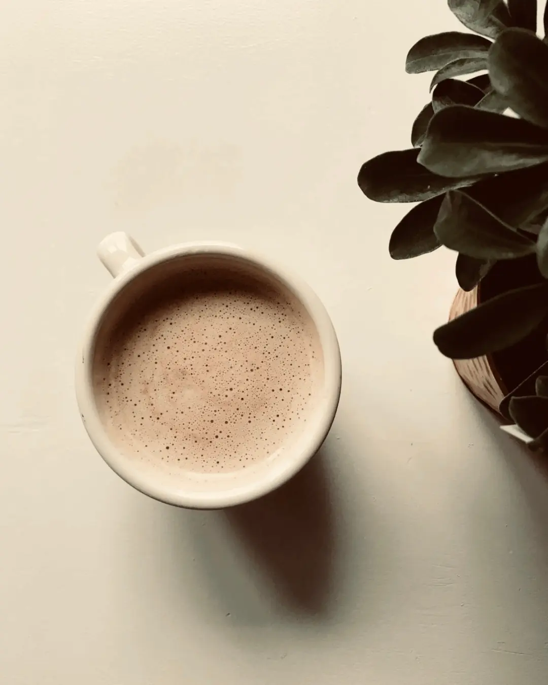 Kop cappuccino van bovenaf op een lichte tafel naast een plant